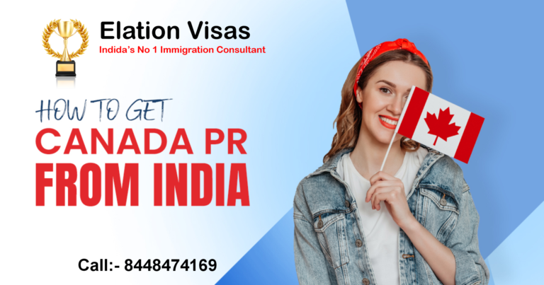 Elation Visas Best Immigration Consultant